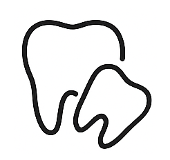 Icon of adult and child tooth symbolizing pediatric dental care